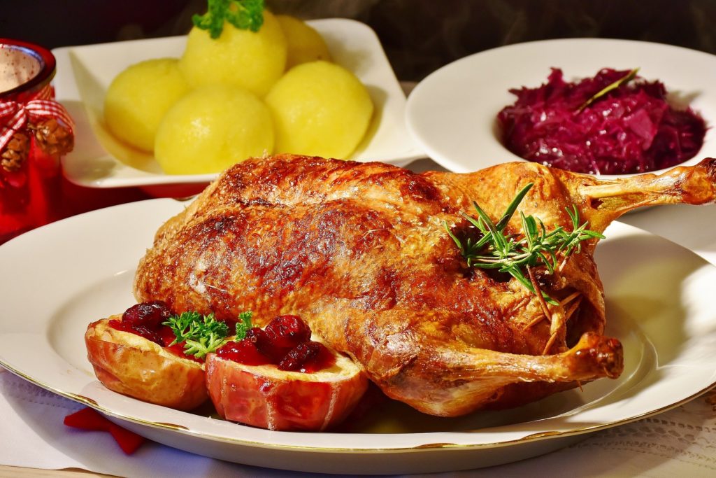 duck-2957809_1920