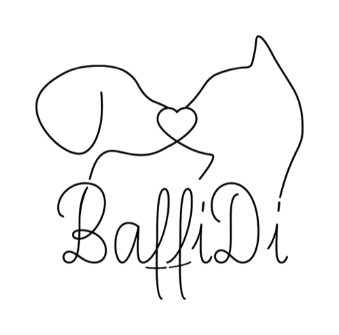 baffidi logo